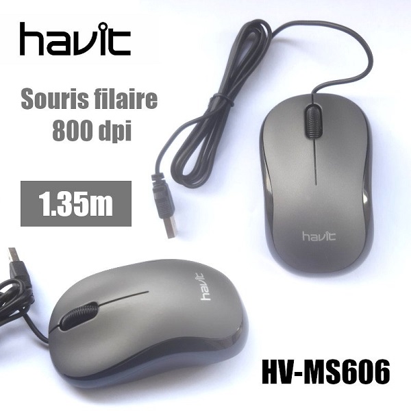 SOURIS FILAIRE USB HAVIT MS606