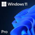 Licence Windows 11 Pro 64 Bits FR 1pk DSP OEI DVD