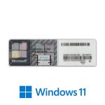 Licence Windows 11 Pro OEM 64 Bits Gris STICKER