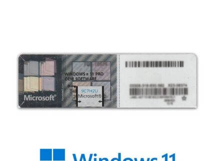 Licence Windows 11 Pro OEM 64 Bits Gris STICKER