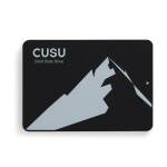 SATA 2.5" 2TB CUSU C300